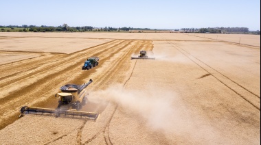 Agroindustria bipolar: crece la producción pero se desploman las exportaciones en el sudoeste bonaerense