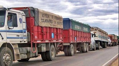 Transporte de cargas: advierten por rutas deterioradas y demoras en el sistema de licencias