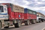 Transporte de cargas: advierten por rutas deterioradas y demoras en el sistema de licencias