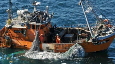 Caída mensual y crecimiento interanual en la pesca marítima durante marzo