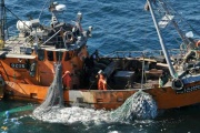 Caída mensual y crecimiento interanual en la pesca marítima durante marzo