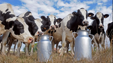 Tamberos alcanzan un récord histórico de facturación y proyectan superar los USD 900 millones anuales