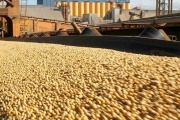 El agro tracciona: abril volvió a marcar el ritmo de las exportaciones