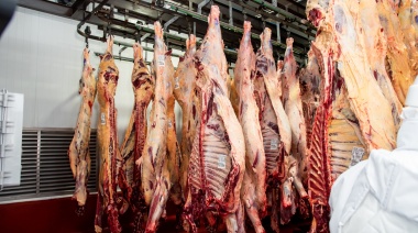 Argentina cierra la Cuota Hilton 2024/25 con éxito rotundo y una Ganancia de US$ 350 millones
