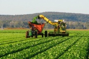 CIARA-CEC: Liquidación de divisas por agroexportaciones con un marcado ascenso en junio