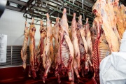 Argentina cierra la Cuota Hilton 2024/25 con éxito rotundo y una Ganancia de US$ 350 millones