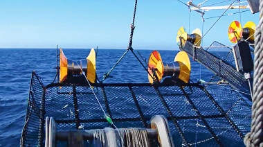 Cierran la temporada de pesca de calamar Illex por sostenibilidad del recurso