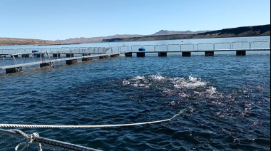Argentina consolida el acceso a la Comunidad Andina para la exportación de ovas de trucha arcoíris