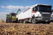 El flete camionero argentino fue un 30% más caro que el de Brasil y EE. UU. en el segundo trimestre de 2025