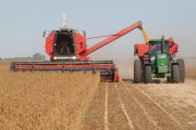 Argentina proyecta la mayor exportación de soja en 15 años: la Secretaría de Agricultura eleva la previsión a 12,3 ,illones de toneladas
