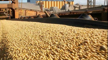 El agro tracciona: abril volvió a marcar el ritmo de las exportaciones