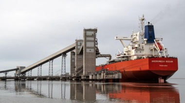Fuerte caída en descargas y embarques en marzo en Bahía Blanca