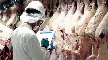 La carne vacuna aumento 7,7% y acumula un alza del 60,7% interanual