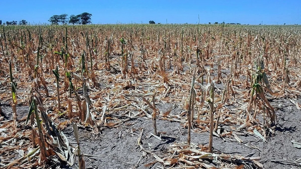 La Oficina de Riesgo Agropecuario confirma el inicio de La Niña, con pronóstico de corta duración y baja intensidad