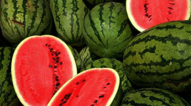 Una nueva norma permite a la sandía argentina volver a Uruguay después de cuatro décadas