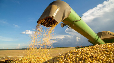 El sector agroexportador argentino registra un fuerte repunte en septiembre