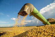 El sector agroexportador argentino registra un fuerte repunte en septiembre