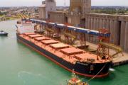 Puerto Quequén opera con cinco buques Panamax en simultáneo