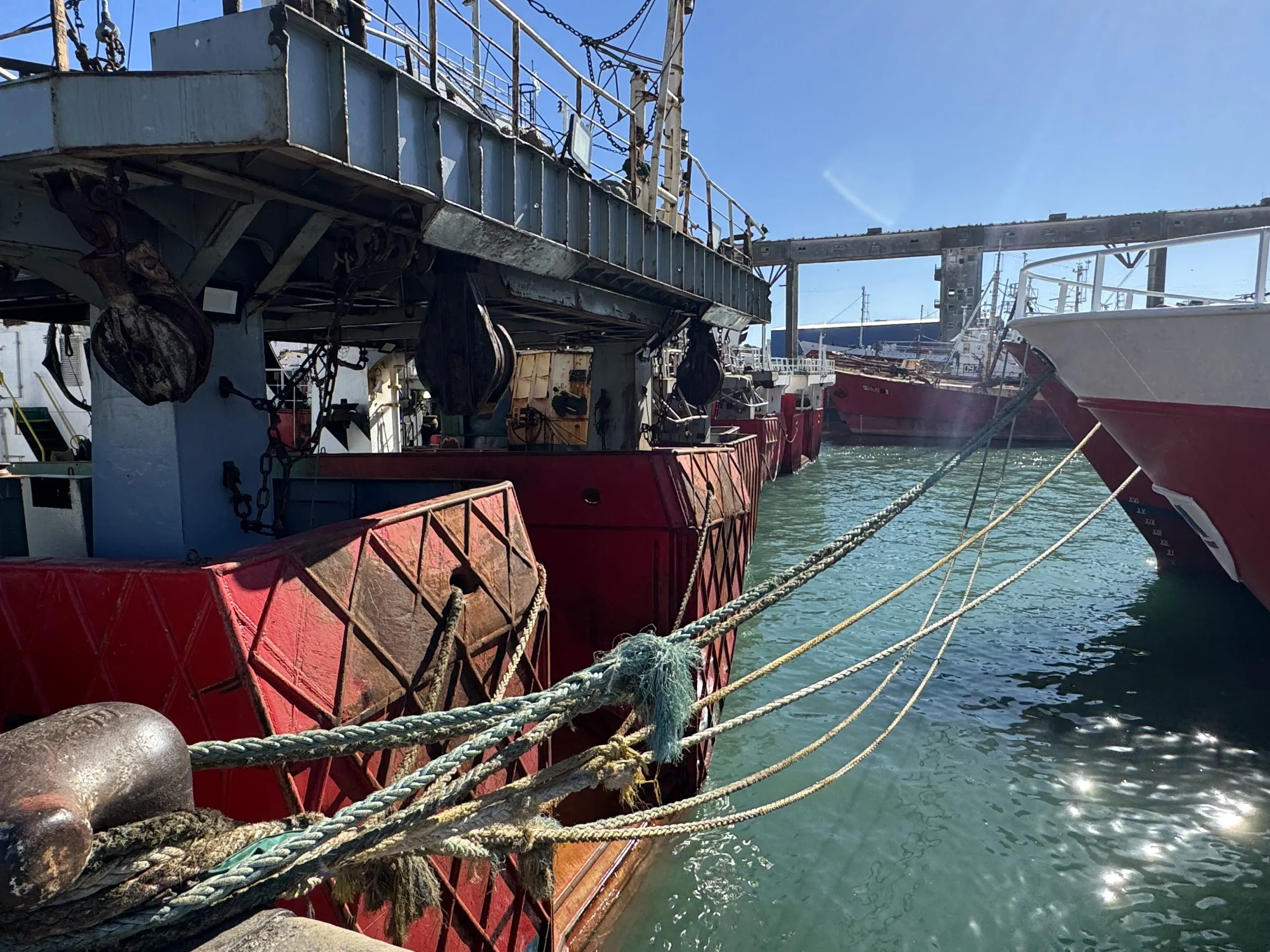 La temporada de langostino al borde del colapso por un conflicto sin salida