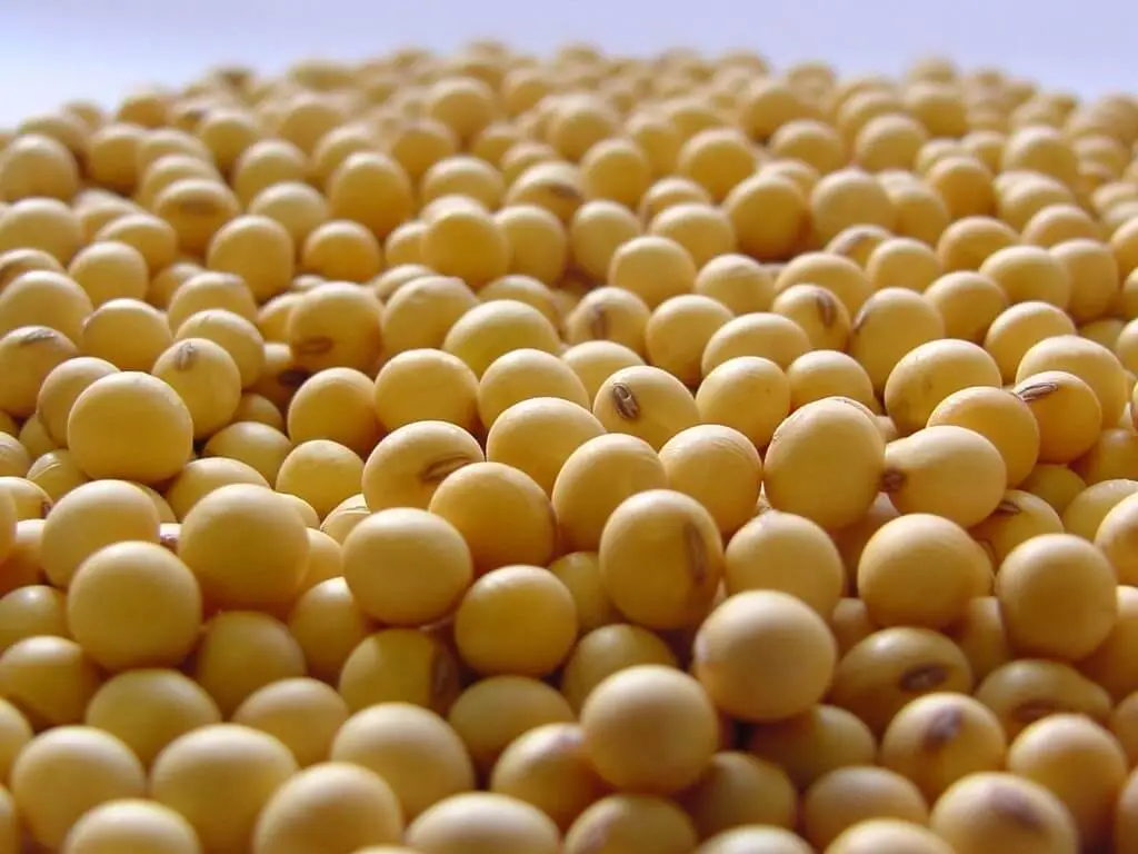 Más de 40 millones de toneladas de soja ya ingresaron al mercado argentino