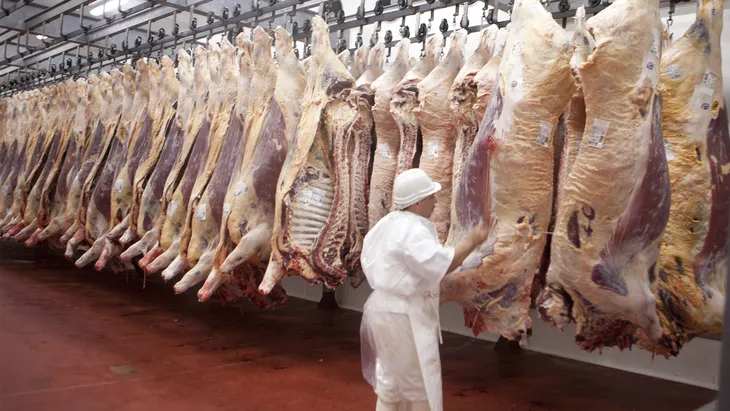 Senasa habilita el ingreso de carne con hueso plano a la Patagonia con protocolo específico