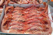 Queda abierta a la pesca comercial la Subárea 15, tras una prospección favorable de langostino