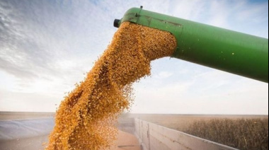 El índice de precios de materias primas agroindustriales alcanza su valor máximo histórico en el 3T de 2025