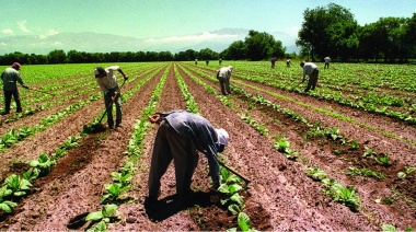 Semáforo de economías regionales: tres actividades en verde y nueve en rojo durante abril de 2025
