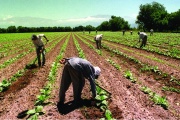 Semáforo de economías regionales: tres actividades en verde y nueve en rojo durante abril de 2025