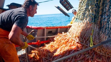 Suspendida la prospección de langostino en aguas nacionales hasta nuevo aviso por condiciones climáticas adversas