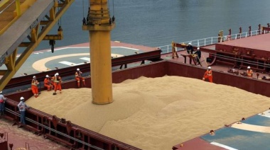 Histórico: China realiza su primera compra de harina de soja argentina