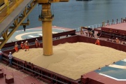 Histórico: China realiza su primera compra de harina de soja argentina