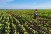 Agroindustria y ambiente: Argentina se posiciona globalmente con prácticas de producción sostenible