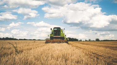 Las exportaciones agroindustriales Crecieron 4,5% en volumen durante el primer semestre de 2025