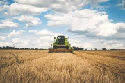 Las exportaciones agroindustriales Crecieron 4,5% en volumen durante el primer semestre de 2025