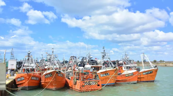 La CAFACh solicita la prospección de langostino en Chubut mientras se aguarda el cierre de paritarias