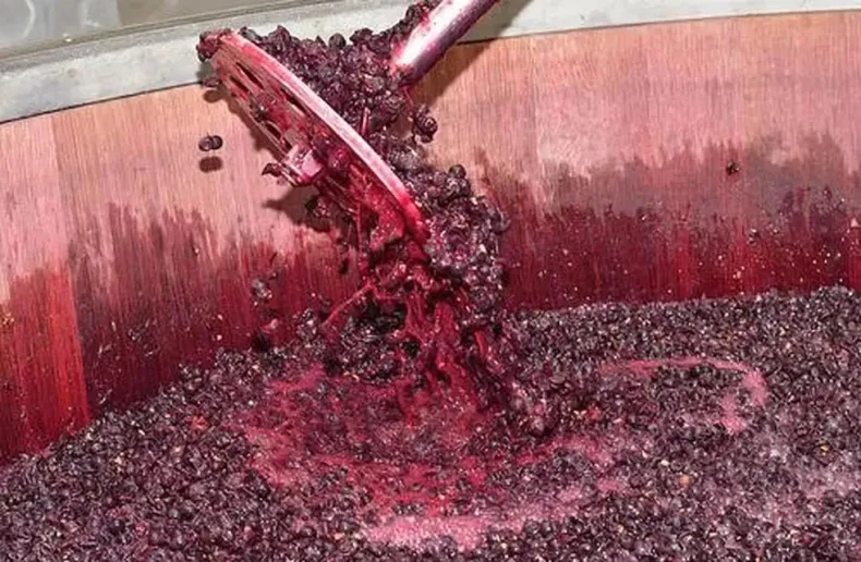 La cadena del vino suma eficiencia: traslados internos sin certificados en papel
