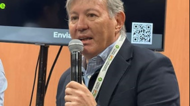 Alejandro Fried: Análisis sobre la evolución del mercado algodonero argentino