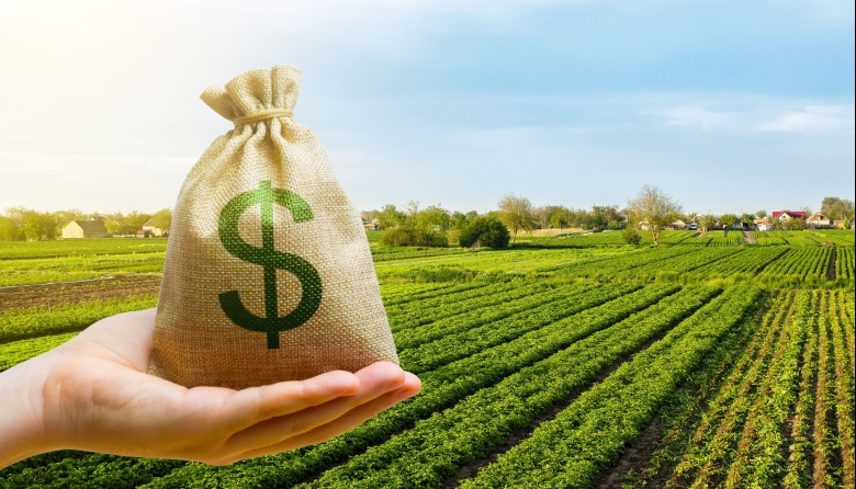 En enero, las empresas agroexportadoras ingresaron un 64% más de dólares que en 2023