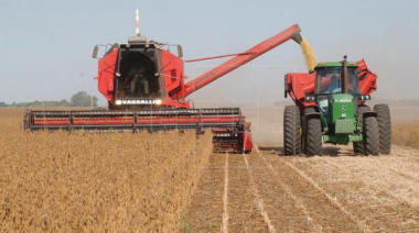 Argentina proyecta la mayor exportación de soja en 15 años: la Secretaría de Agricultura eleva la previsión a 12,3 ,illones de toneladas