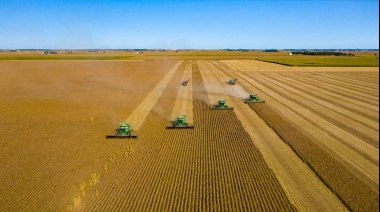 El agro argentino proyecta un ingreso de US$ 30.800 millones por exportaciones en 2025
