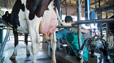 Argentina lidera el crecimiento de la producción mundial de leche en el primer semestre de 2025