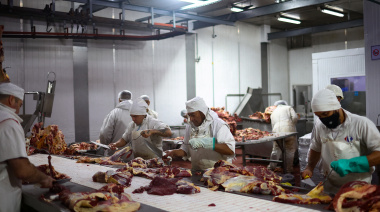 China habilitaría en octubre el comercio directo de menudencias bovinas con Argentina