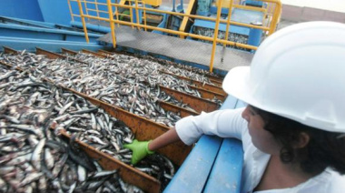 Perú se consolida como líder en el suministro de aceite de pescado a China, superando a Rusia con una cuota del 45,8%