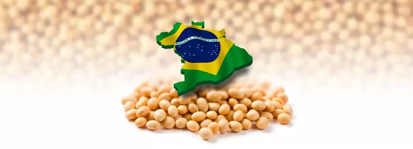 Soja récord: Brasil proyecta 173 millones de toneladas y consolida su dominio exportador