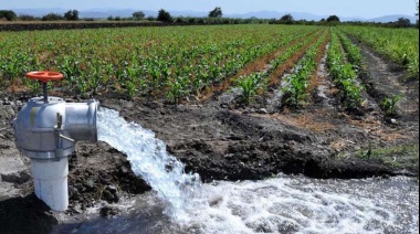 Lluvias récord y campos anegados: el agro bajo agua en el sudoeste bonaerense