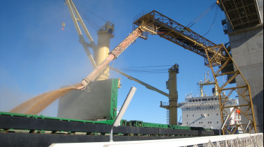Argentina marca un récord histórico en las exportaciones de trigo durante agosto de 2025