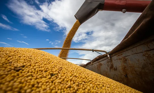 La soja se disparó a $340.000 por tonelada y consolida la firmeza del mercado de granos