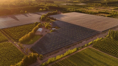Innovación mendocina para el agro: mallas fotoselectivas que potencian la producción