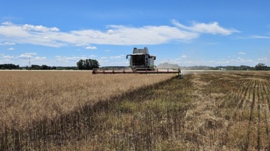 Crece la apuesta por la agricultura regenerativa y el cultivo de camelina en manos de LDC
